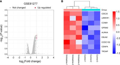 CCNB1 and AURKA are critical genes for prostate cancer progression and castration-resistant prostate cancer resistant to vinblastine